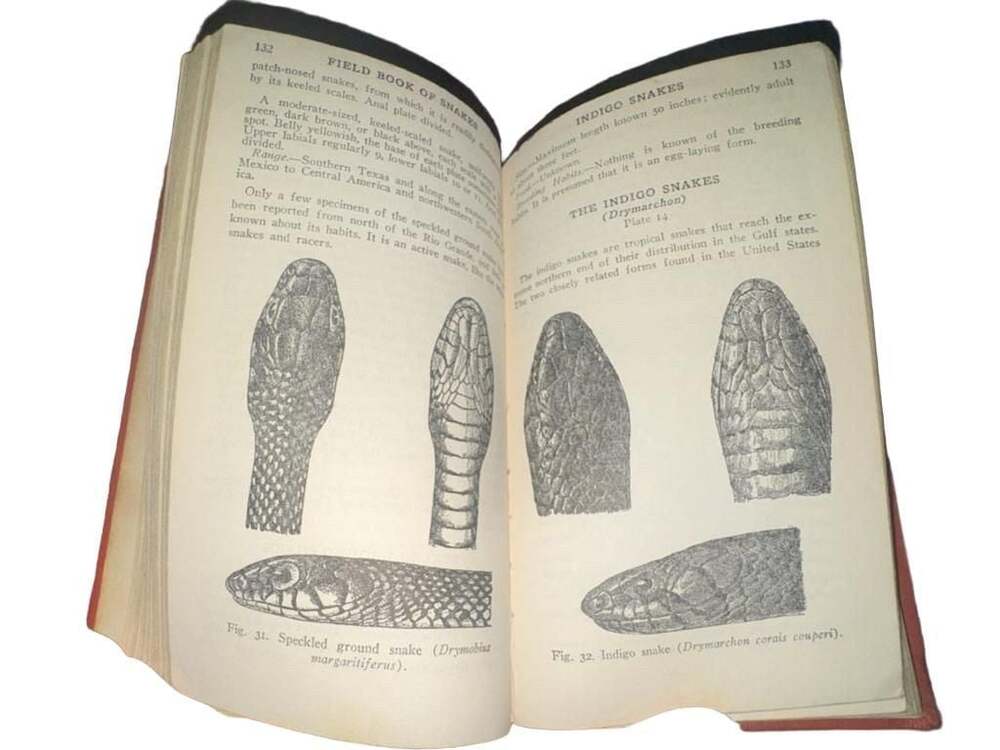 1941 Field Book of Snakes United States& Canada- Karl P. Schmidt &D.DwightDavis